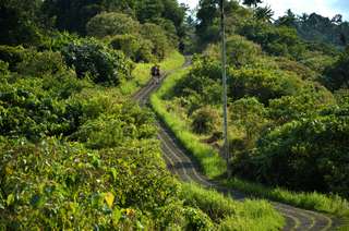 Bukit Belong: Wisata Hidden Gem di Klungkung dengan Pemandangan Memukau, Waktu baca 5 menit