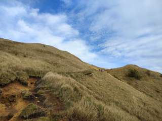 Bukit Lemparan Tulungagung, Estetika Alam dengan Visual Simfoni Hijau yang Tak Terlupakan, Waktu baca 5 menit