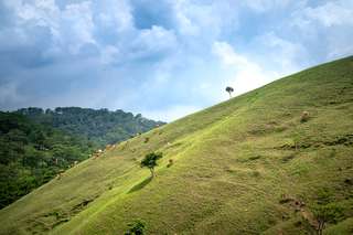 Bukit Tenau, Keindahan Potret Ketentraman dan Eksotisme Savana di Tanah Sumba Timur , Waktu baca 6 menit