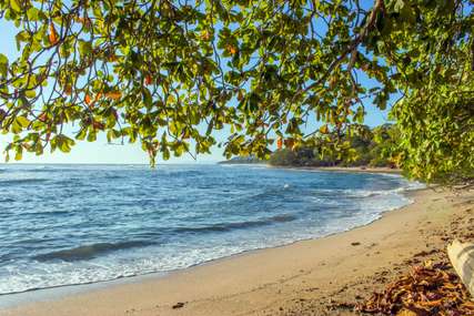 Pantai Ngurtafur Maluku: Lokasi, Harga Tiket Masuk, dan Daya Tariknya, Mas Bellboy