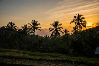 Panduan Munduk & Sambangan Bali 2026: Air Terjun Terbaik, Spot Foto, dan Sunset di Bali Utara, Waktu baca 8 menit