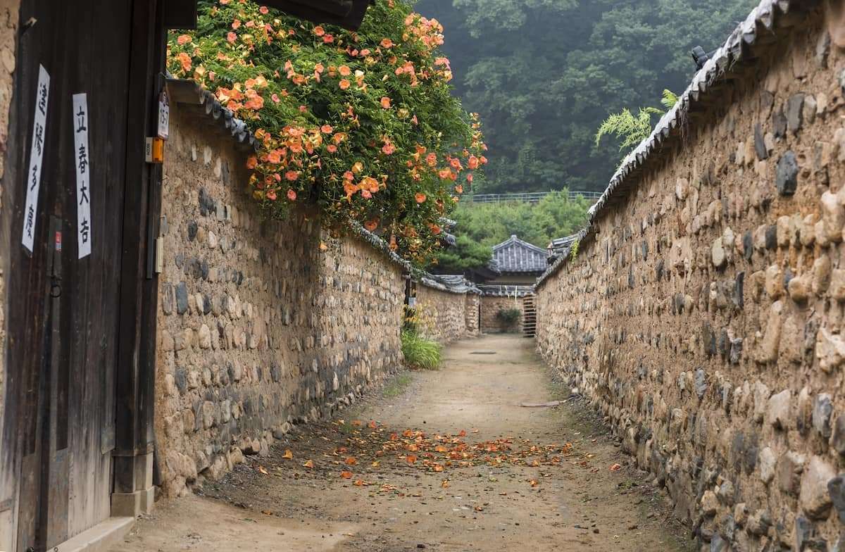 韓国のローカル旅なら大邱（テグ）へ】ソウルからKTXで約2時間！「大邱