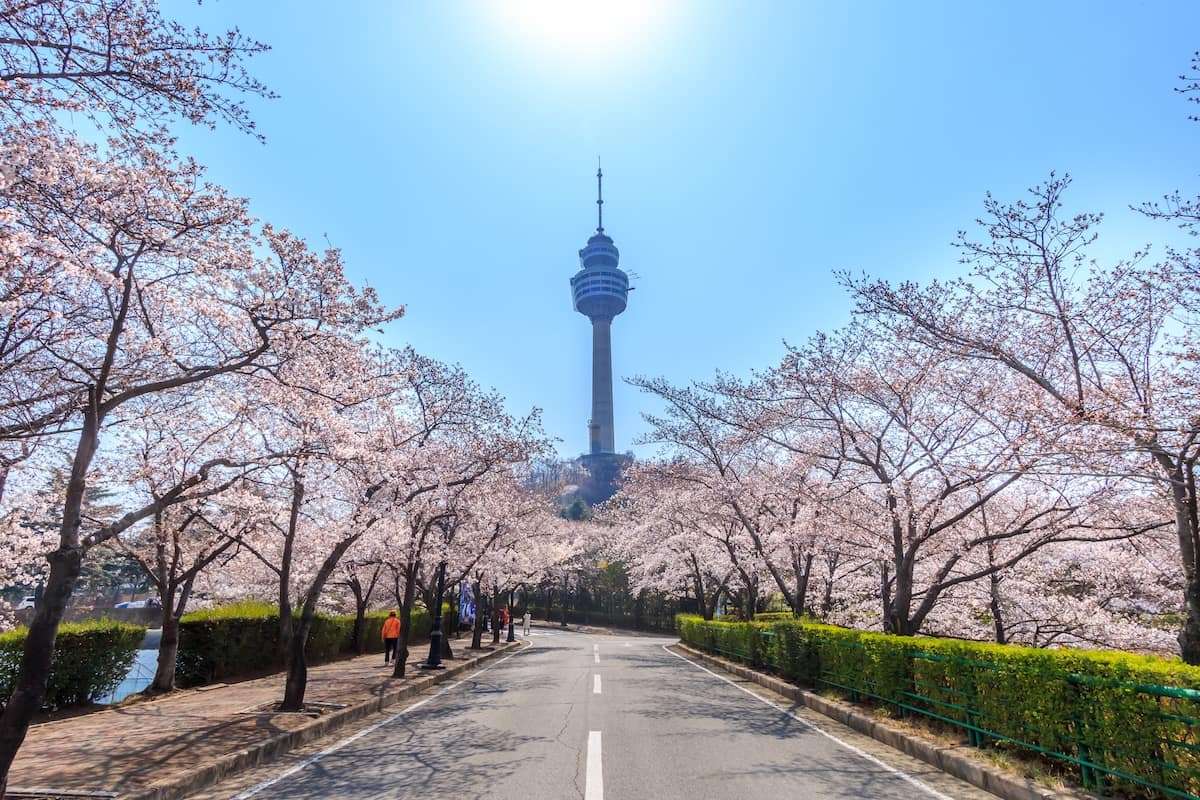 韓国のローカル旅なら大邱（テグ）へ】ソウルからKTXで約2時間！「大邱