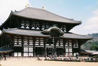 Todaiji Temple Japan: The Complete 2026 Visitor's Guide , 6 min read