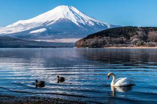 Danau Kawaguchi, Destinasi Terbaik Menikmati Keindahan Gunung Fuji, Waktu baca 4 menit