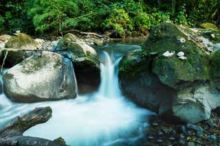 Pesona Curug Orak Arik, Surga Tersembunyi di Kaki Gunung Slamet, Waktu baca 4 menit