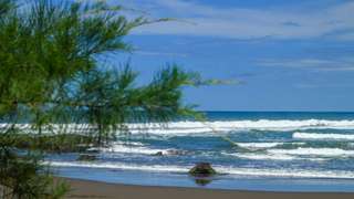 Pantai Pathek: Daya Tarik, Rute, dan Harga Tiket Terbaru, Waktu baca 4 menit