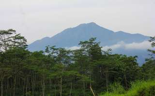  Pesona Gunung Merbuk yang Jarang Diketahui, Waktu baca 4 menit
