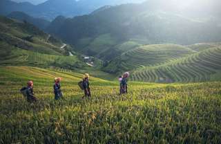 Best Time to Visit Sapa: Weather, Rice Terrace Season & Travel Tips for 2026, 3 min read
