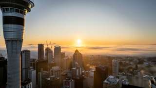 Things to Do in Auckland: From Popular Landmarks to Hidden Gems, 4 min read