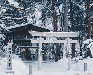 Best Time to Visit Hokkaido: Your Complete Seasonal Guide, Traveloka SG
