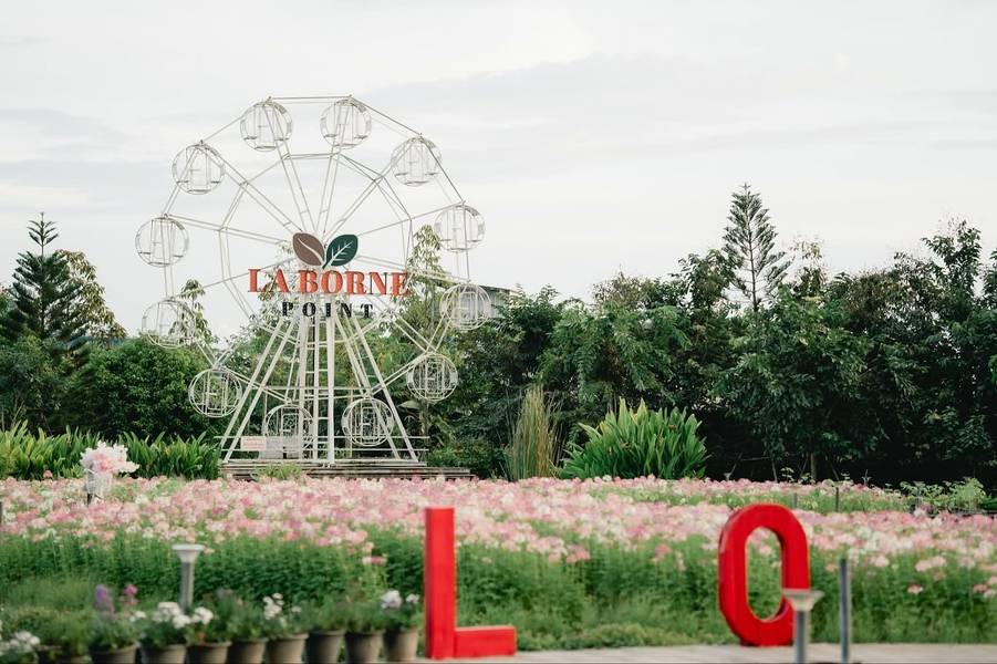 La Borne Point - ลา บล็อง พ้อยท์