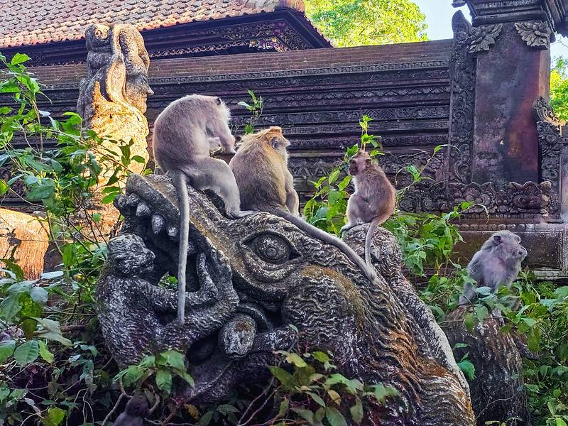 Sacred Monkey Forest Sanctuary