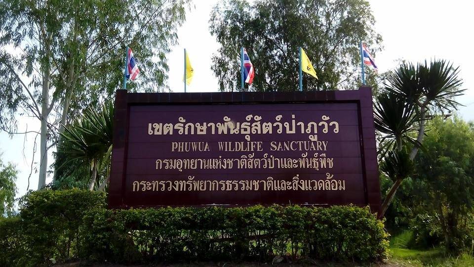 เขตรักษาพันธุ์สัตว์ป่าภูวัว