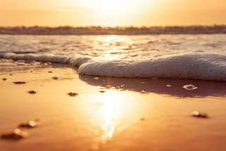 Brighton Beach 2026: Bathing Box Hours, Getting There & Where to Stay, 5 min read