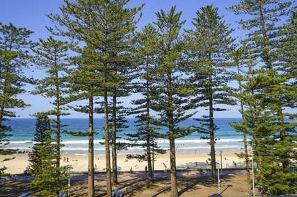 Manly Beach, Sydney: What It's Actually Like Before You Go, Travel Bestie