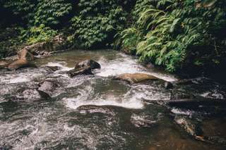 Curug Jlarang, Air Terjun Tersembunyi di Tengah Sawah Pekalongan, Waktu baca 3 menit