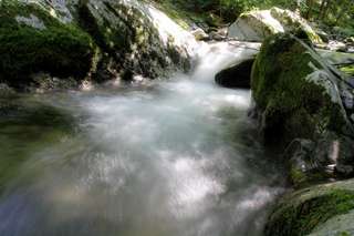 Curug Citro Arum, Air Terjun Tertinggi yang Tersembunyi di Hutan Kendal, Mas Bellboy