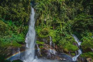 Curug Rasta: Daya Tarik, Lokasi, dan Info Penting Lainnya, Waktu baca 3 menit