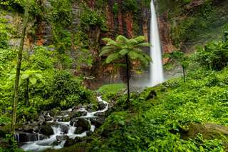 Curug Mangku: Daya Tarik, Lokasi, dan Info Penting Lainnya, Waktu baca 3 menit