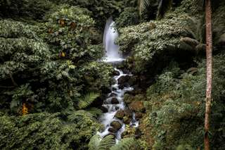 Curug Ciarileu, Hidden Gem di Kaki Gunung Cikuray yang Wajib Kamu Kunjungi, Waktu baca 3 menit