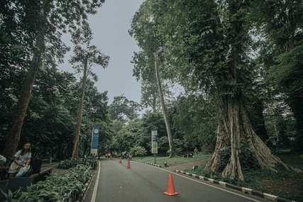 Taman Hutan Raya Balas Klumprik: Oase Hijau di Tengah Kota Surabaya, Mas Bellboy