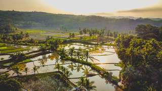 Desa Wisata Kaki Langit, Pesona Alam dan Budaya di Bumi Mangunan, Mas Bellboy