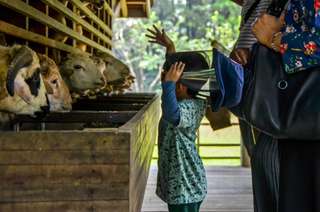 Liburan Sejenak ke Desa Wisata Nganggring, Banyak Aktivitas Menarik!, Waktu baca 4 menit