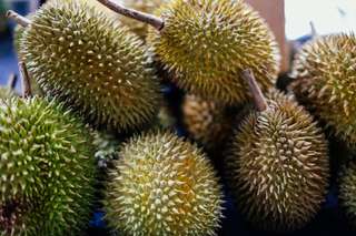 4 Buah Khas Ambon yang Wajib Dicoba, dari Gandaria hingga Durian Hutumuri, Waktu baca 3 menit