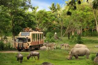 Bali Family Travel Guide: 10 Best Things to Do in Ubud With Kids and Family Friendly Hotels Recommendation, 5 min read