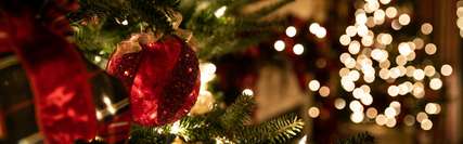 Christmas in Strasbourg: Inside Europe's Oldest and Most Magical Christmas Market City, Xperience Team