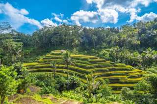 7 Best Ubud Beach Clubs & Riverside Escapes Near Bali’s Cultural Heart, 5 min read