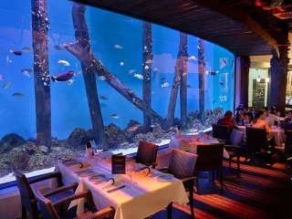 Best Time to Visit Cairns: Weather, Seasons & Things to Do, Traveloka Accomodation