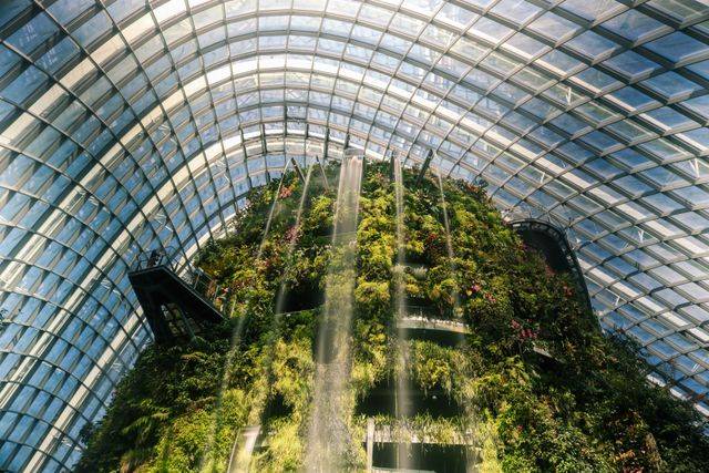 Gardens by the Bay
