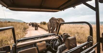 Kenya Safari: The Complete Guide to Africa's Greatest Wildlife Destination, Xperience Team
