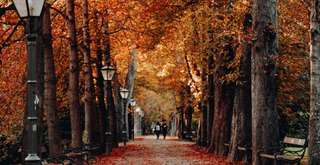 Seoul in Autumn: Your Complete Guide to the City's Most Spectacular Season, Xperience Team