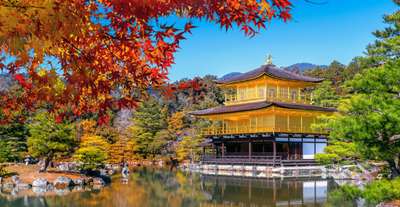 Tokyo in November: Golden Ginkgos, Crimson Maples, and the Best Weather of the Year, Xperience Team