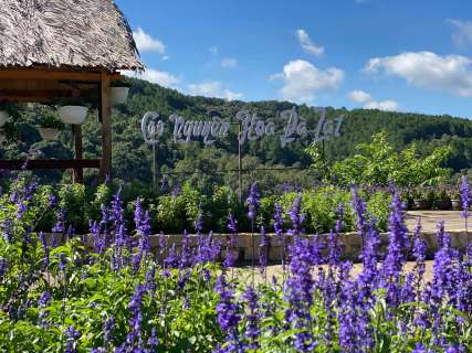 Da Lat Flower Festival 2026: Schedule, Location, and Full Lineup of Events, Traveloka Team