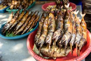 6 Makanan Khas Jayapura yang Wajib Dicoba, Waktu baca 3 menit