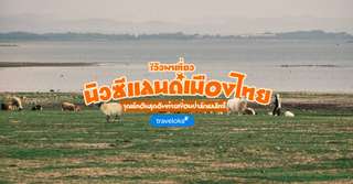 [รีวิว] นิวซีแลนด์เมืองไทยพร้อมจุดไฮไลท์และกิจกรรมแนะนำ, ใช้เวลาอ่านประมาณ 1 นาที