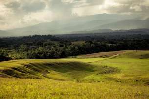 Lembah Baliem: Pesona Alam dan Budaya Papua Pegunungan, 4 min read