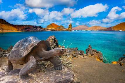Best Time to Visit Galapagos for Wildlife, Beaches & Island Adventures, Traveloka Accomodation