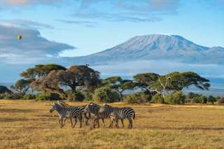 Best Time to Visit Kenya for Safari, Wildlife & Beach Escapes, Traveloka Accomodation