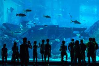 Sentosa Island Singapore: Top Attractions, Beaches & Things to Do, Traveloka Accomodation