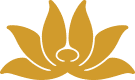 Vietnam Airlines