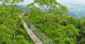 Hotels in Cuyambay