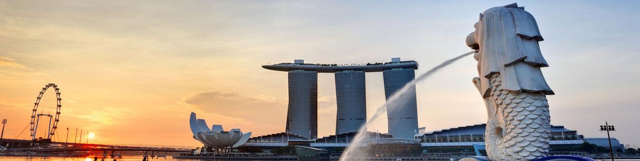 Ve may bay di Singapore