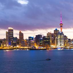 Sydney - Auckland, 31 Jan 2026