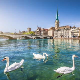 Frankfurt  ⇄  Zurich, 31 August - 7 September 2024