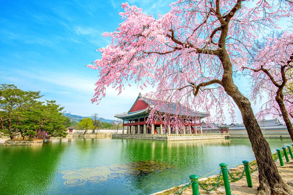 60 Tempat  Wisata  di  Korea  Selatan  Yang Seru dan Tidak Akan 